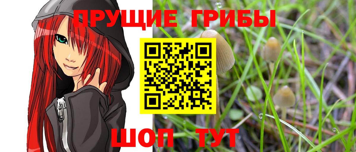 Галлюциногенные грибы Magic Shrooms Боровичи